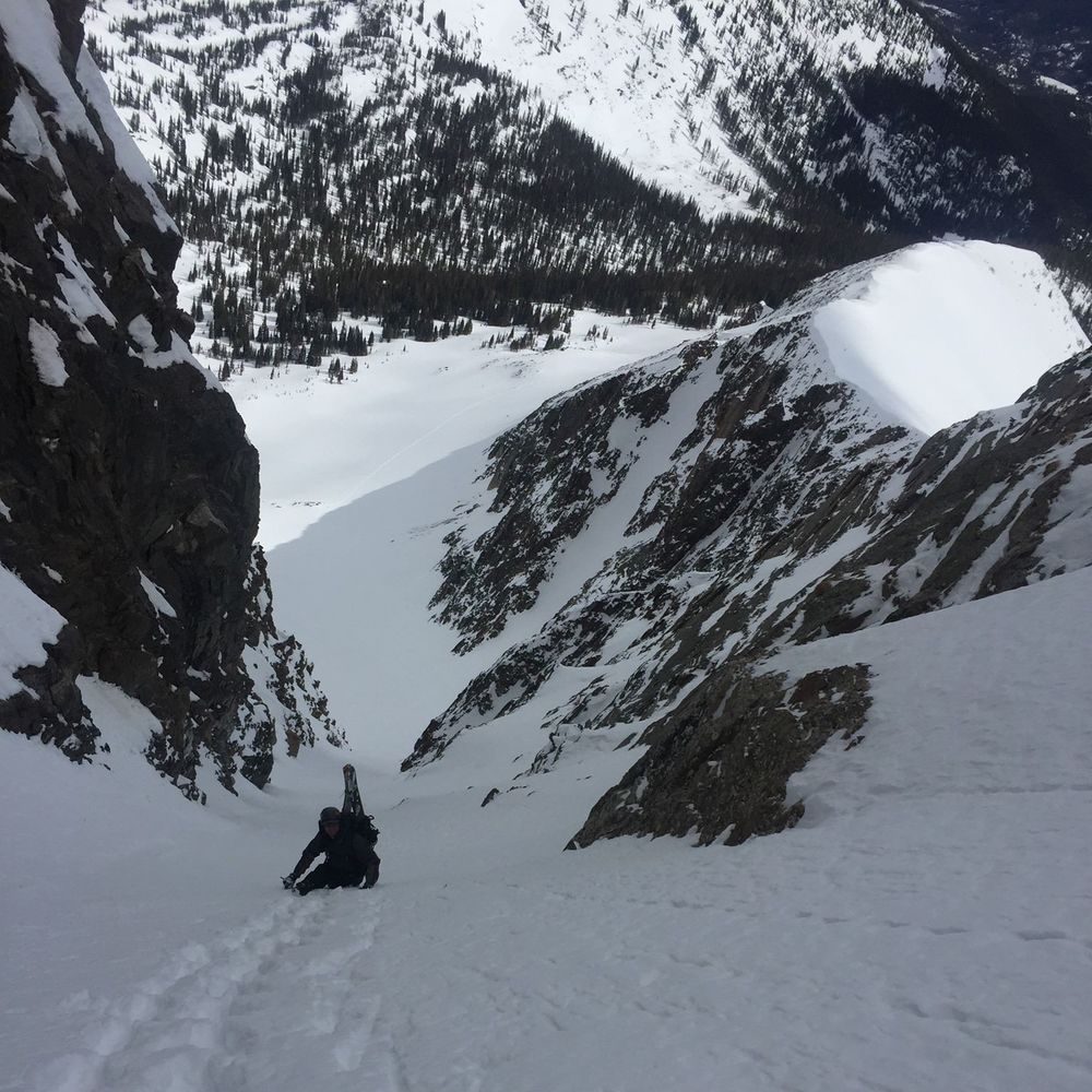 Meet your Posher, Nick